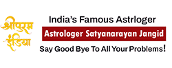 web Designer developer in sardarshahar